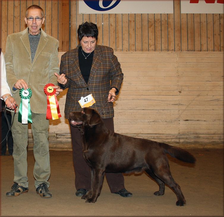 "Bark" Best of Breed