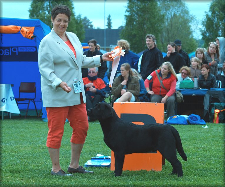 Poker winning Puppy Recerv