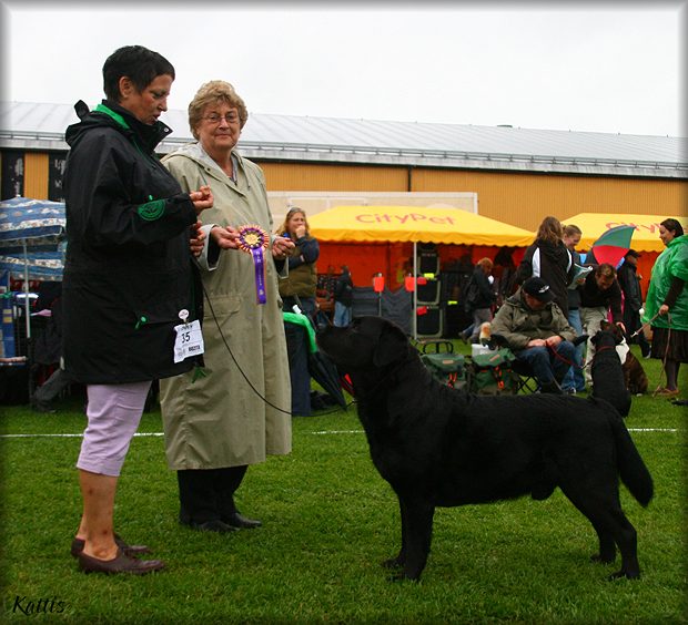 Bracke winning Best Veteran under Ros-Marie Cabion