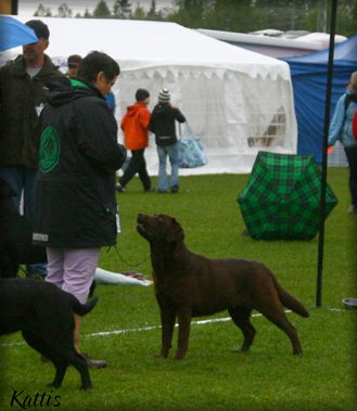 Vinna winning her 2nd CC 