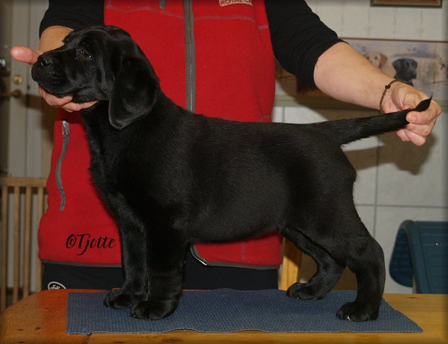 Flippa @ 7weeks n' 5 days
