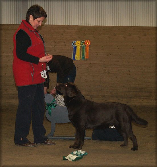 Tjottes Like No Other took her first CC & BOS