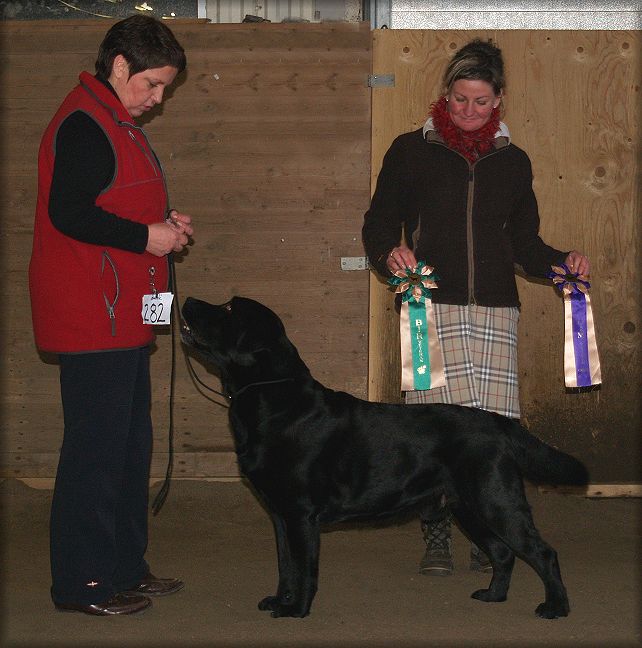 BOB Veteran  judged by Anna Gerschwindt Hartwig