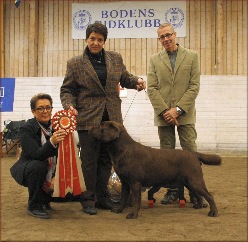 "Bark" winning Best In Show under Gitte Finnich Pedersen, behind breedjudge Hans Ahlmgren  