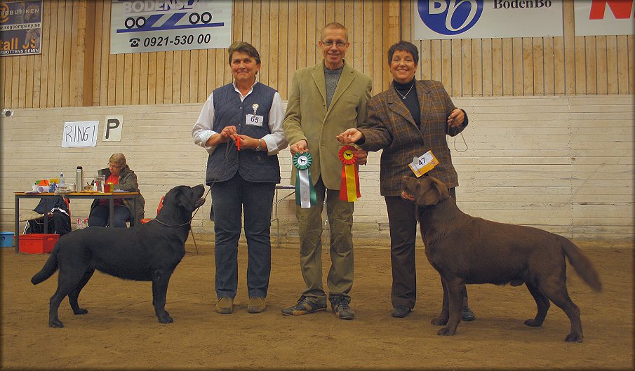 BOS Khamses Double Trouble & BOB CH Tjottes Lover Under Cover "Bark"