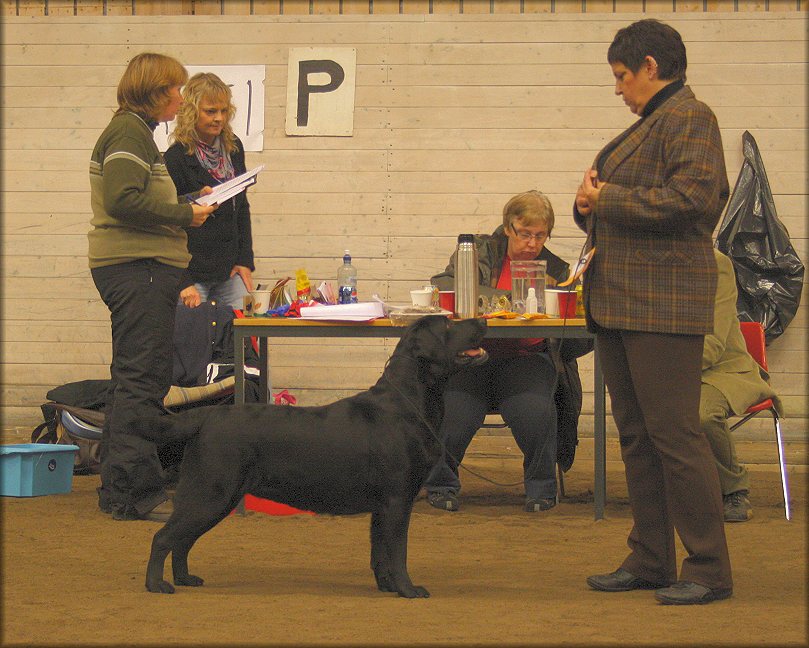 "Payton" Winning Championclass