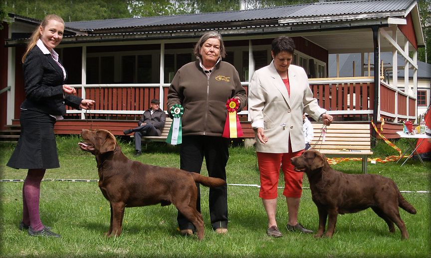 BOS & BOB ; sunday under Raija Tammelin