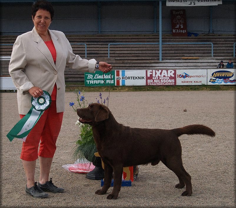 Bark BIS:2 (BOS final)