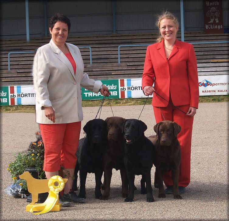 BIS:3 Breedersgroup Saturday with Panter,Bark,Payton & Vinna