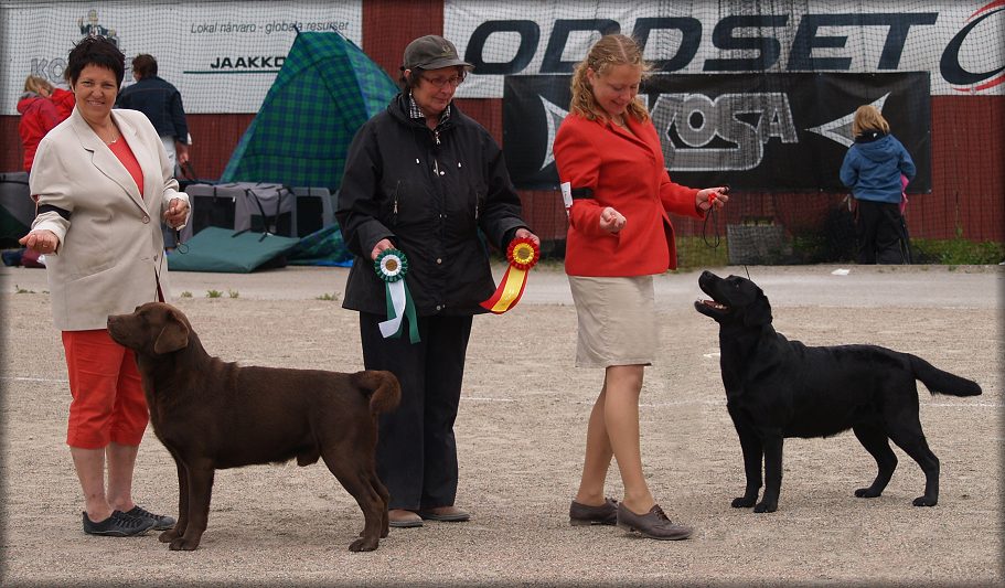 Bark BOS & Tuva BOB, judge Monica Andersson  (Saturday)