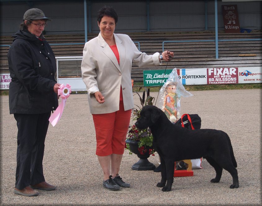 Poker winning Best Puppy In Show (no:4) Saturday
