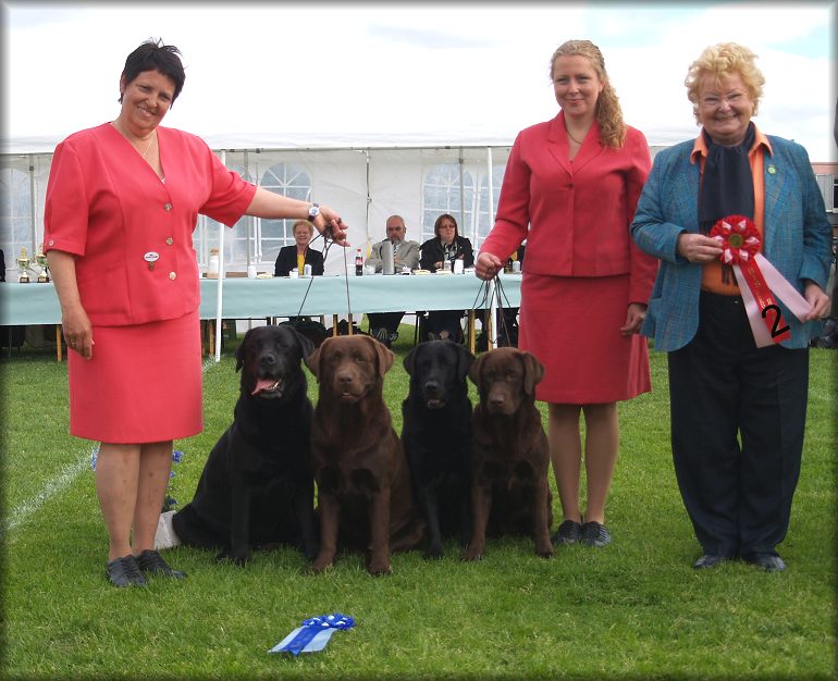 BIS:2 Breedergroup- Bracke - Bark - Payton - Vinna