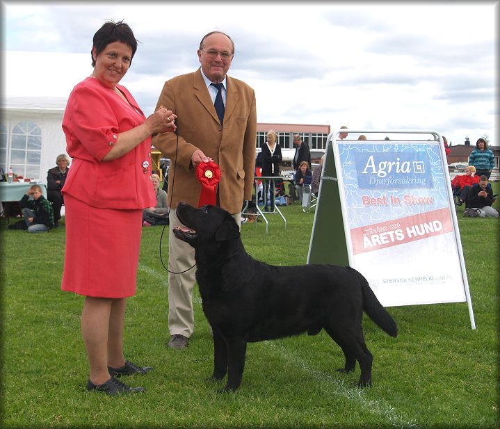 Groupwinner under Horst Kliebenstein at age of 9&frac12;   :-)))super end of a  magnificent showcareer