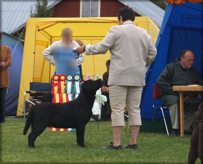 POKER winning BIS:2 Puppy -- BOB Puppy (no:9)