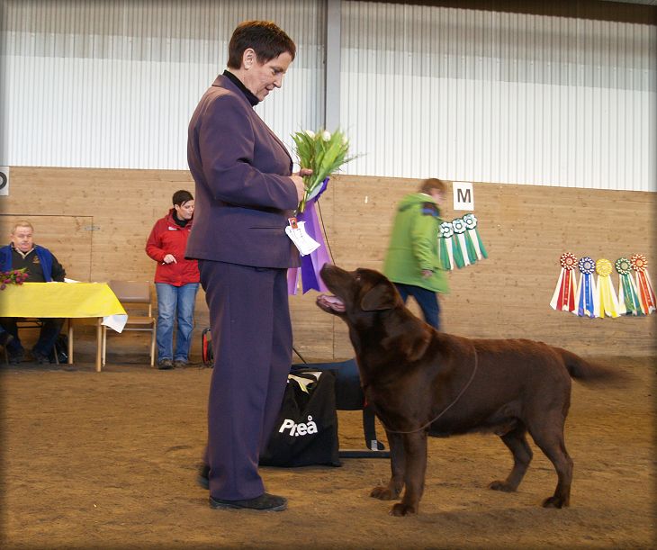 CH Fairywoods Yffrey almost 10 years