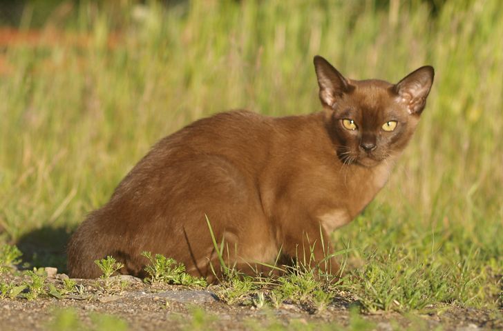 F�rsta dagen ute !