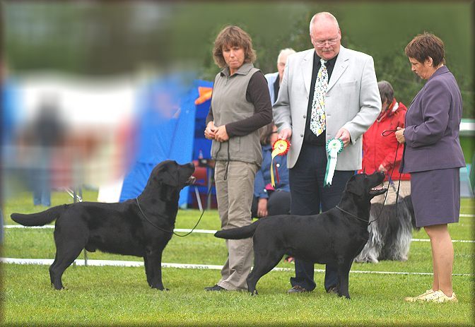 Bracke & Payton BOB & BOS