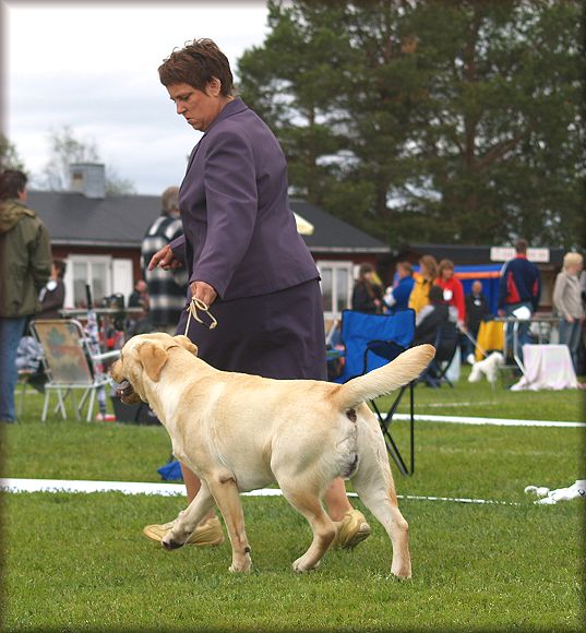 Error taking his first CC