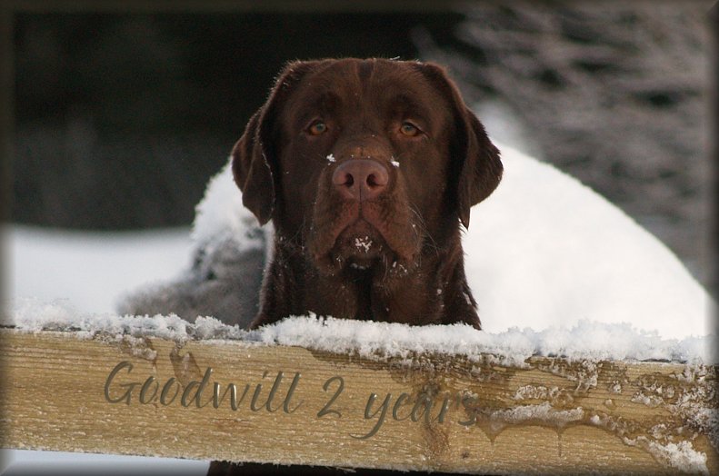 Goodwill on his birtday !