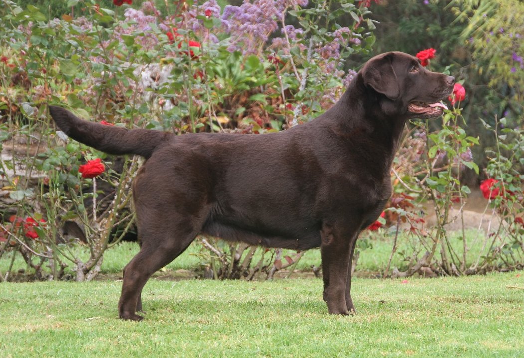 Sabrina living with Sara in Spain,, she is 5 years on the photo !