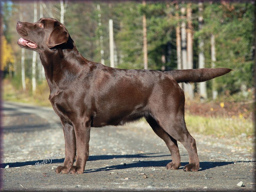 My last photo of Sabrinaa before going to Sara in Spain !!