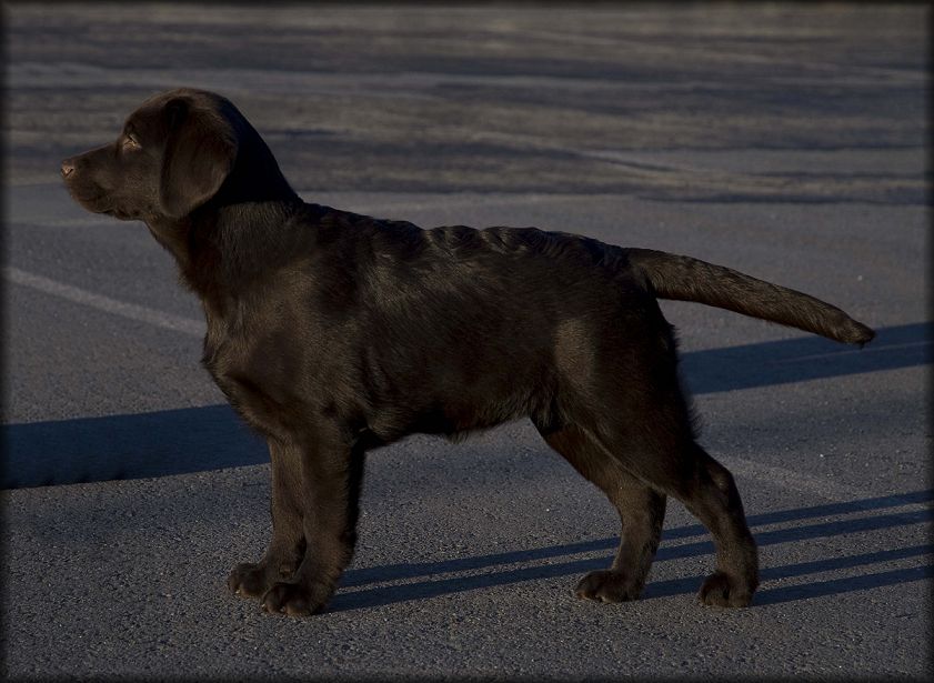 Elva @ 3&frac12; months