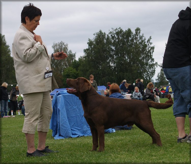 Goodwill winning his 3rd CC (out of coat)