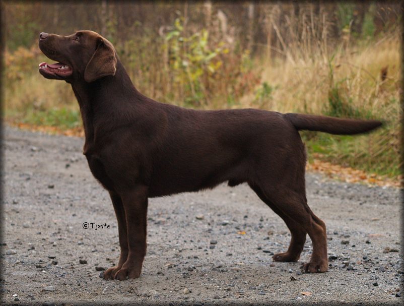 Goodwill @ 8� months