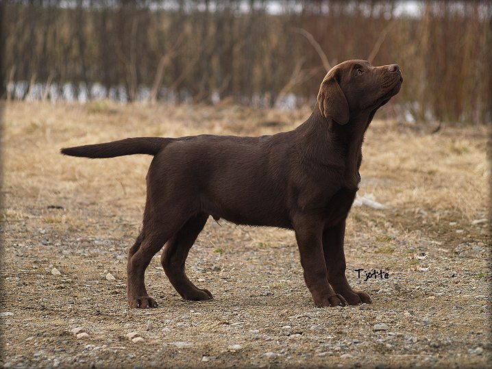 Goodwill @ 3� months