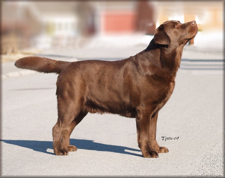 Ragnar @ 3 years