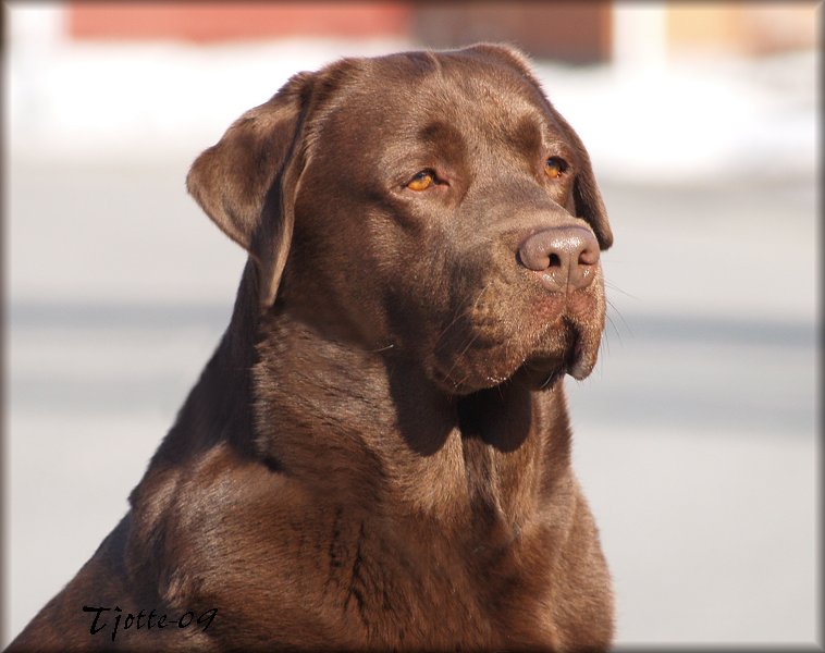 Ragnar @ 3 years