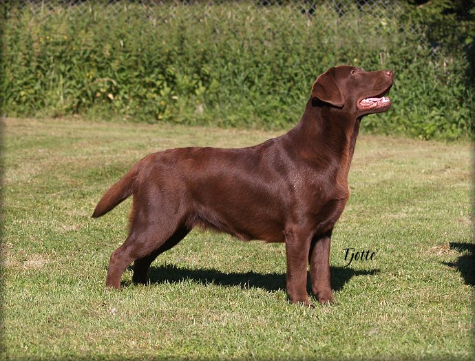 12 months out of coat !