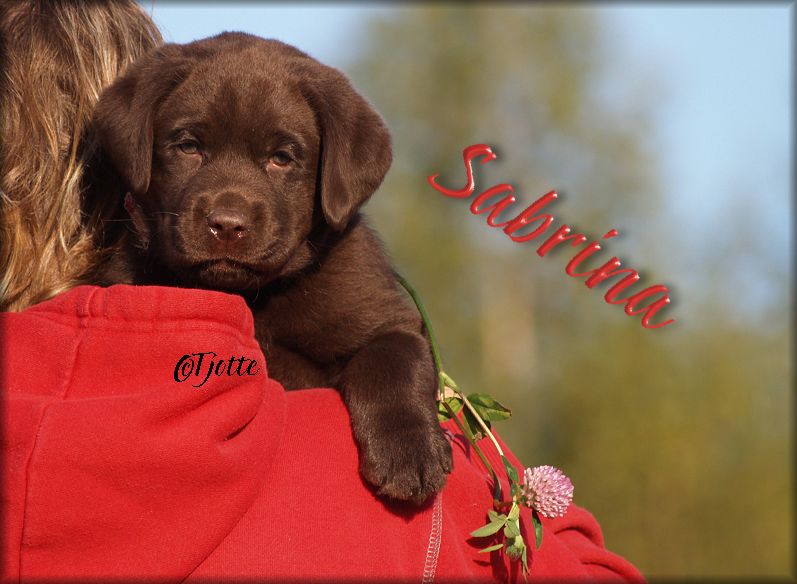 Sabrina @ 6 weeks & 3 days