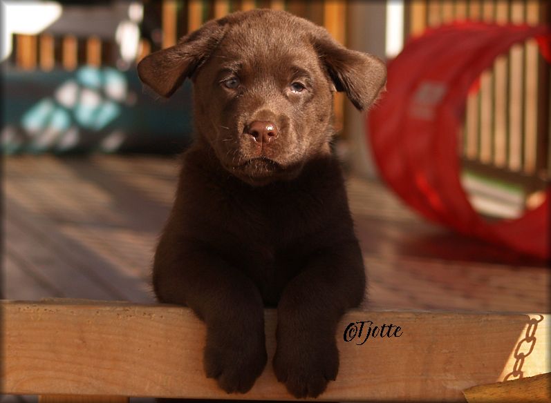 The wind is blowing !