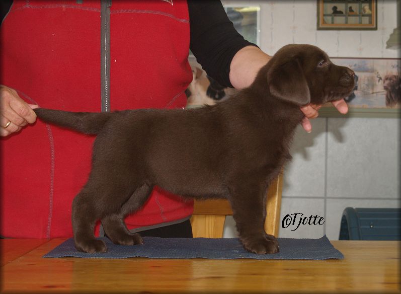 Pose  6 weeks & 3 days