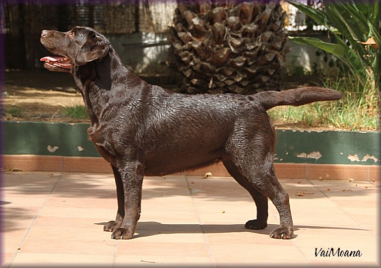 in Spain August 2013