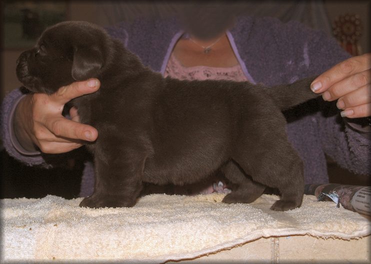 firt time on the table (3weeks)