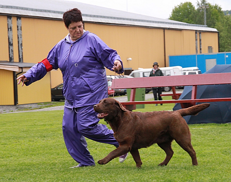 Best Of breed and new Champion