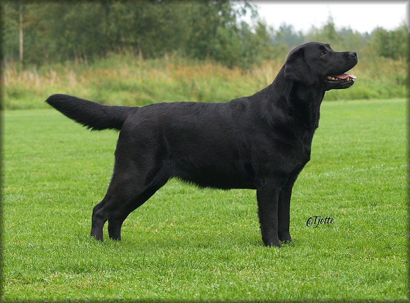 Tuva August-09 @ 5 years