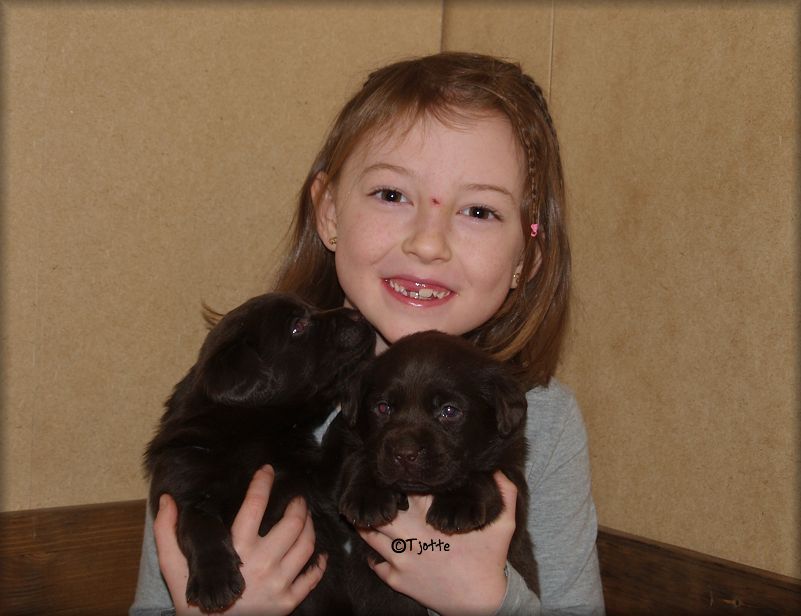 The pups at 4 weeks