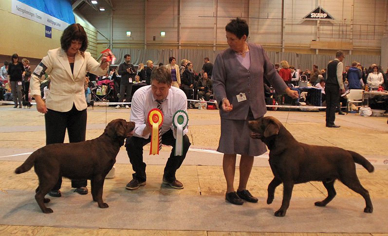 Vinna & Goodwill new NorwegianChampions under Bj&ouml;rne S&ouml;rensen