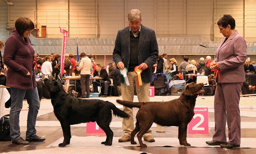 Vinna BOB Saturday under KG Stafberg