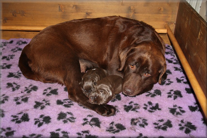 Her newborn girls