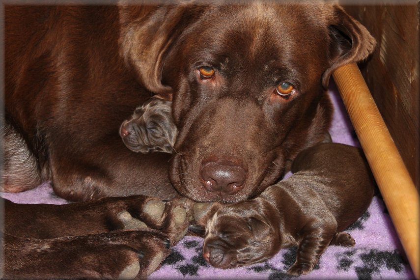 Her newborn girls
