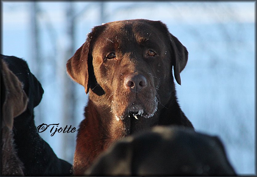 Bark,, almost 7 years