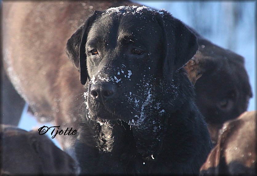 Mingla 2 years