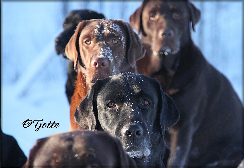 Payton in front,,